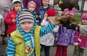 Draví ptáci 22.10.2012
