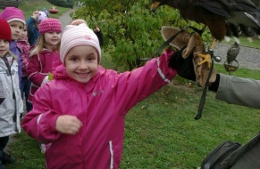 Draví ptáci 22.10.2012