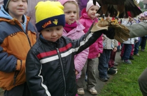 Draví ptáci 22.10.2012