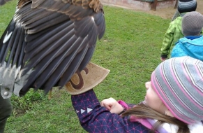 Draví ptáci 22.10.2012