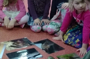 Když les usíná 12.12.