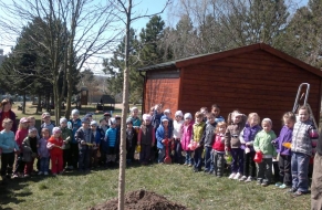 Den Země - jedlý kaštan 15.4.2013
