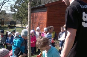 Den Země - jedlý kaštan 15.4.2013