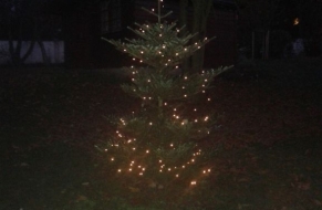 Adventní věnce 27.11.