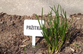 Jarní poděkování 10.4.