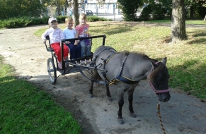 Učení se zvířátky 18.9.