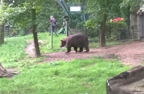 Medvědárium 25.9.