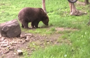 Medvědárium 25.9.