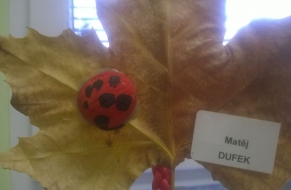 Kreslení v listopadu 27.11.