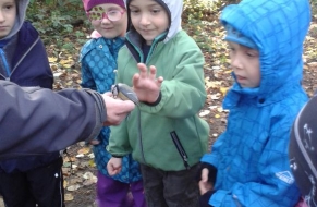 Kroužkování ptáčků 23.10.