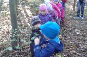 Kroužkování ptáčků 23.10.