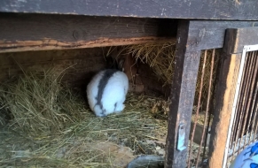 Výlet za zvířátky 21.9.