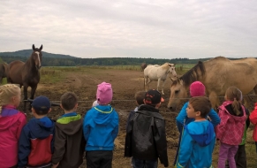 Výlet za zvířátky 21.9.