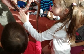 Zvířátka ve školce 4.11.