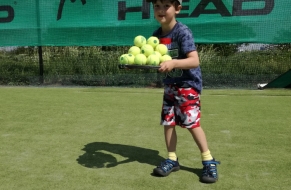 Tenis 8.6.