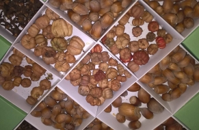 Adventní setkání 30.11.
