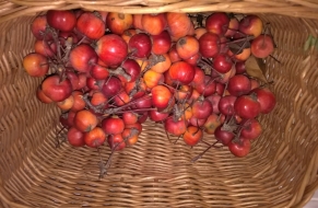 Adventní setkání 30.11.