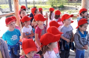 Učení se zvířátky 16.5.