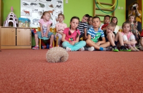 Mláďata 25.5