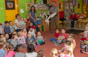 Tajemné sovy 16.10. 