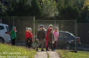 Dravci v letu 26.9.