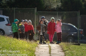 Dravci v letu 26.9.