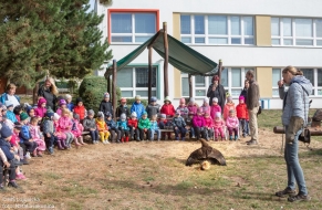 Dravci v letu 26.9.