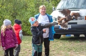 Dravci v letu 26.9.