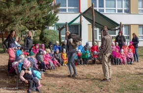 Dravci v letu 26.9.