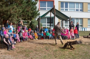 Dravci v letu 26.9.
