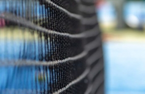 Tenis