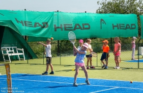 Tenis