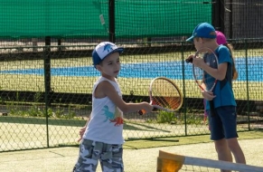 Tenis