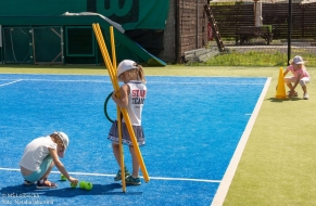 Tenis