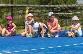 Tenis