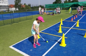 Tenis