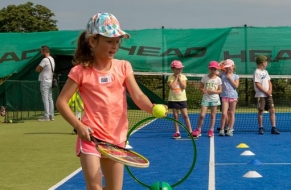Tenis