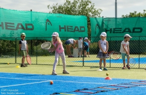 Tenis