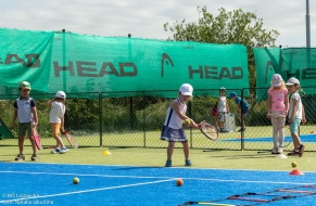 Tenis