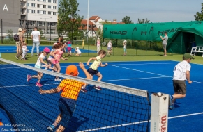 Tenis