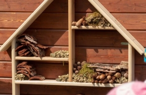 Hmyzí domeček 30.4.