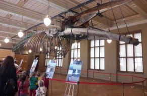 Národní muzeum 10.10.