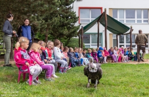 Eko den - mláďata - 9.6.