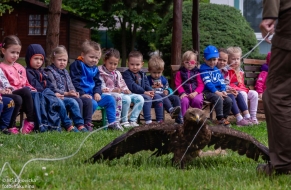 Eko den - mláďata - 9.6.