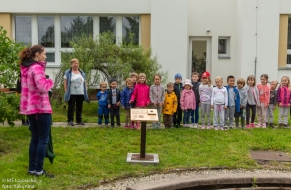 Ptačí pozorovatelna 11.6.