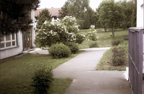 Narozeninová kytice 8.6.